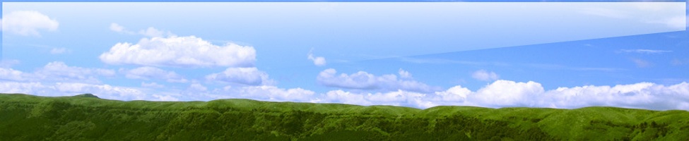index.html